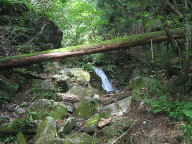 b0108100_2212371.gif