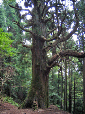 b0108100_22132937.gif