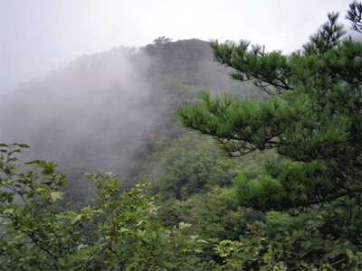 b0108100_22142712.gif