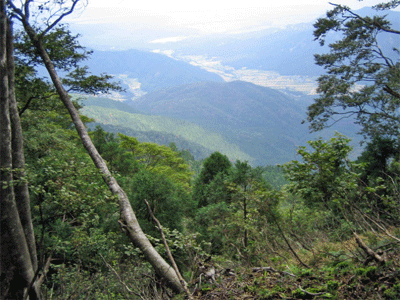 b0108100_22145827.gif