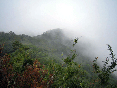 b0108100_2214913.gif