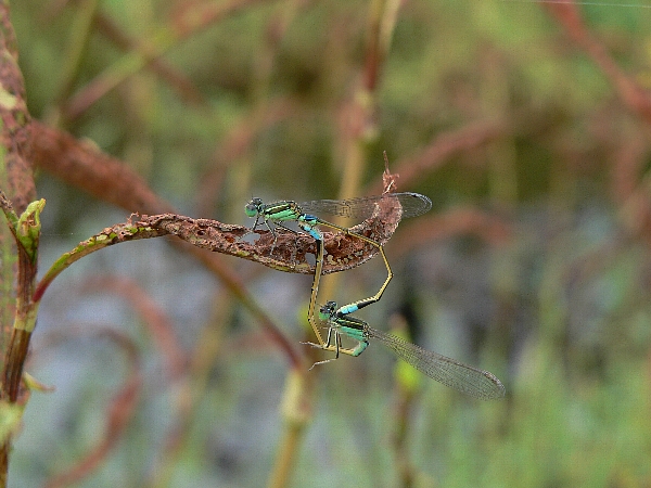 e0002314_16495136.jpg