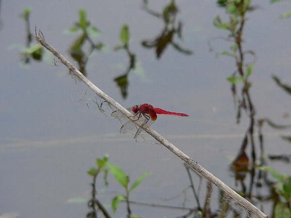 e0002314_16502937.jpg