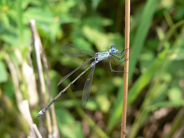 e0002314_1651617.jpg