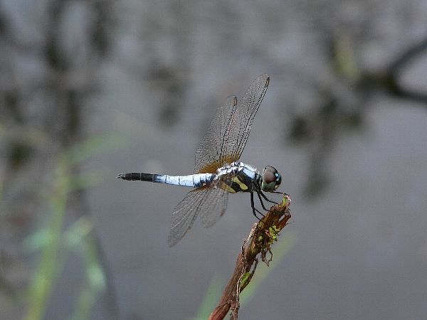e0002314_16564258.jpg