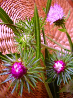 e0124916_14372677.jpg
