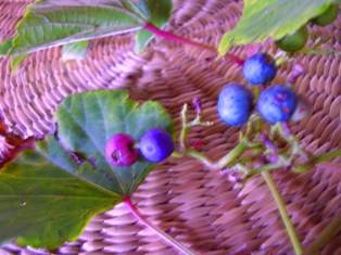 e0124916_14381439.jpg