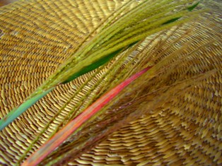 e0124916_1445551.jpg