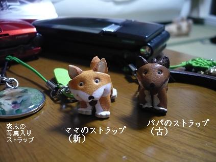 f0041917_18291988.jpg