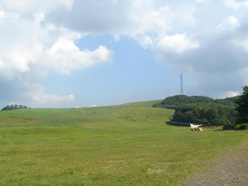 d0112026_14842.jpg
