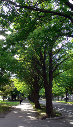 a0046429_0456.jpg