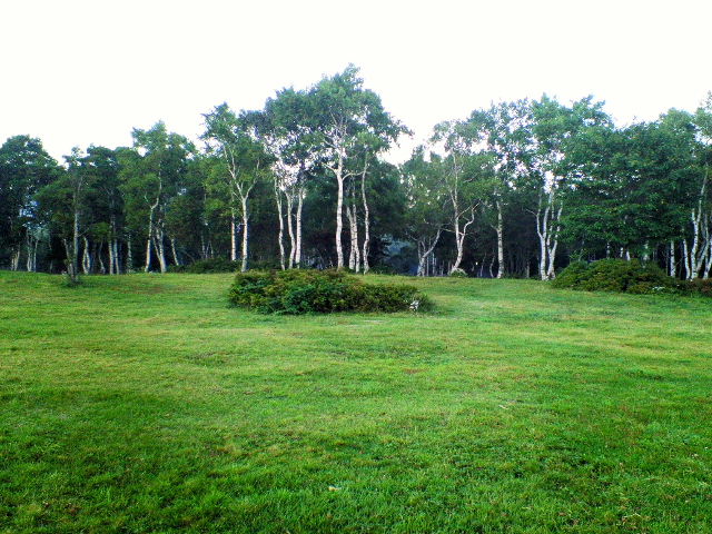 e0064133_15171884.jpg
