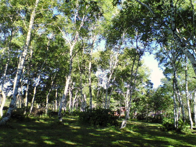 e0064133_15173195.jpg