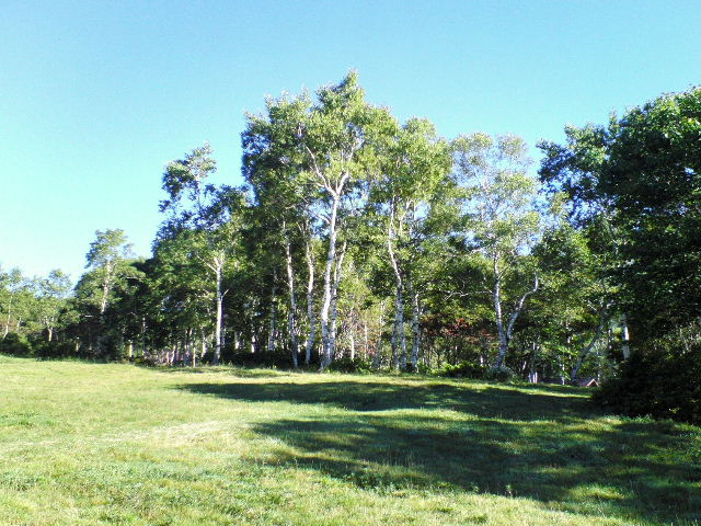 e0064133_15174290.jpg