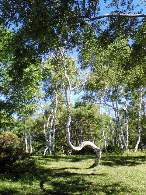 e0064133_15175491.jpg