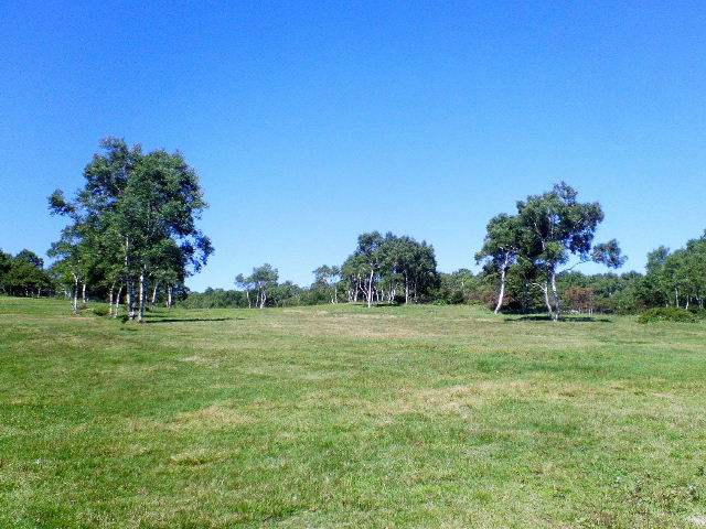 e0064133_1517879.jpg