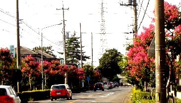 d0093936_2084823.jpg