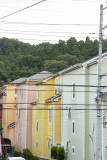 b0117437_19522100.jpg