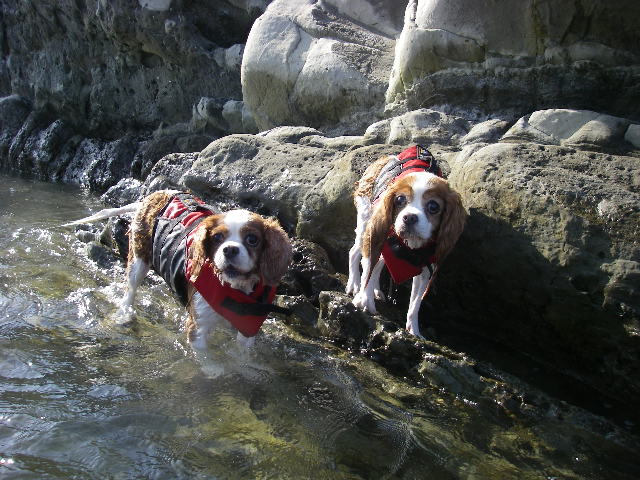 c0136838_2129735.jpg