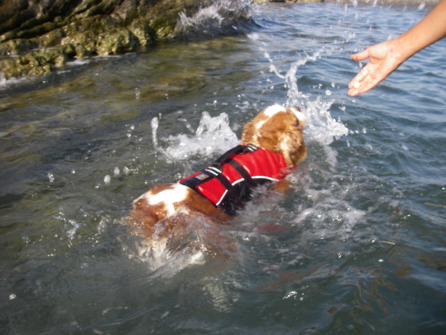 c0136838_2135524.jpg