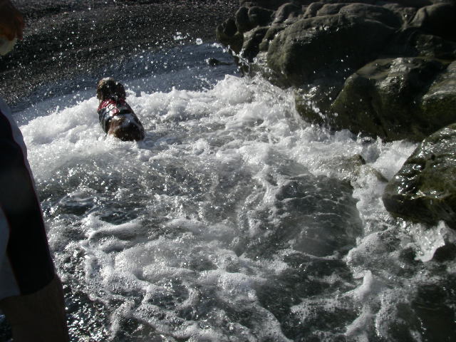 c0136838_2146085.jpg