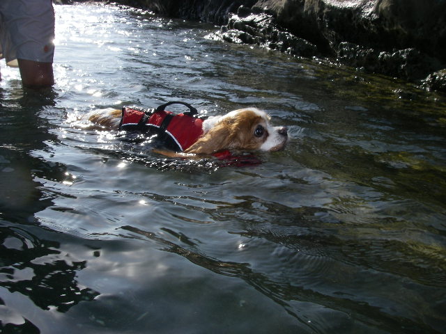 c0136838_2158851.jpg