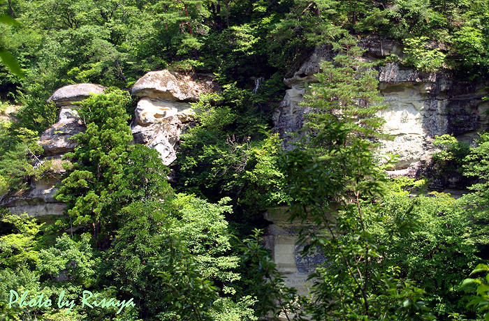 e0072638_17505933.jpg