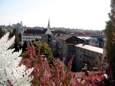 a0072247_1853468.jpg