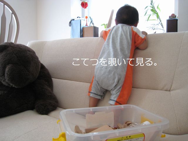a0090451_1025216.jpg