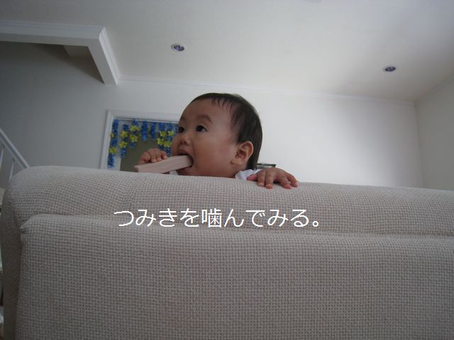 a0090451_10254719.jpg