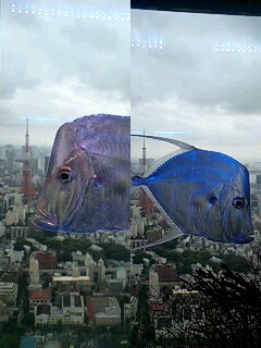 e0045856_2003793.jpg
