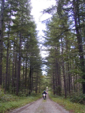b0086858_0592395.jpg
