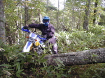b0086858_1121036.jpg
