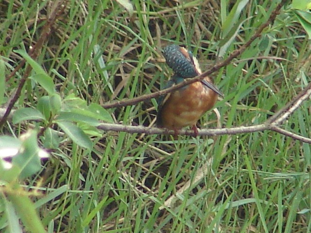 b0061261_15513253.jpg