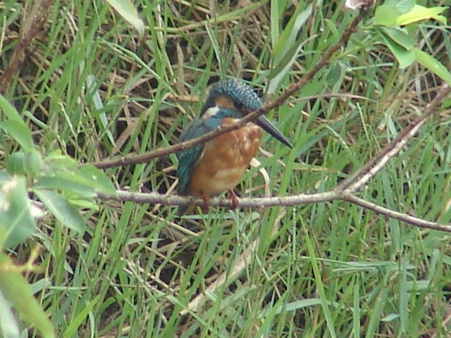 b0061261_15514150.jpg
