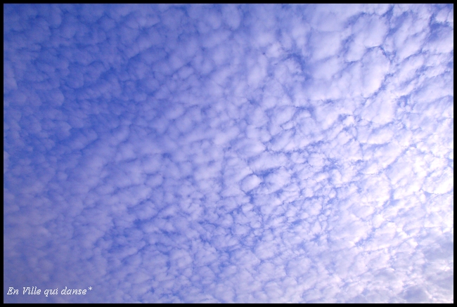 b0087463_1429249.jpg