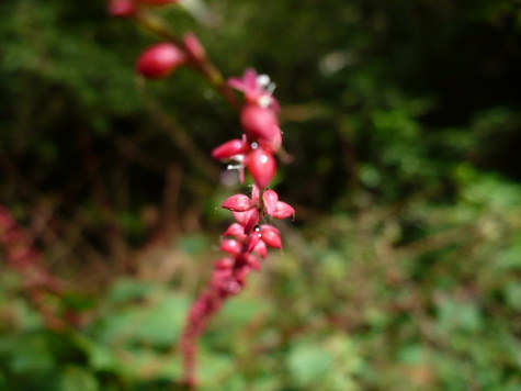 a0063364_14564948.jpg