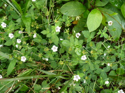 a0063364_14592913.jpg