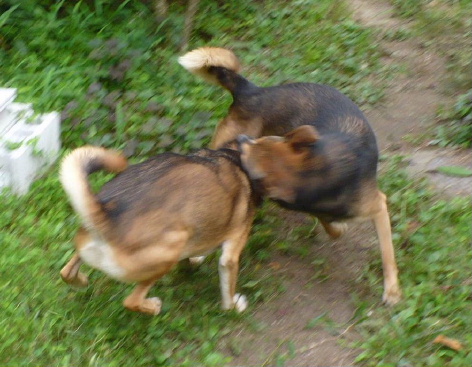 a0063364_15154938.jpg