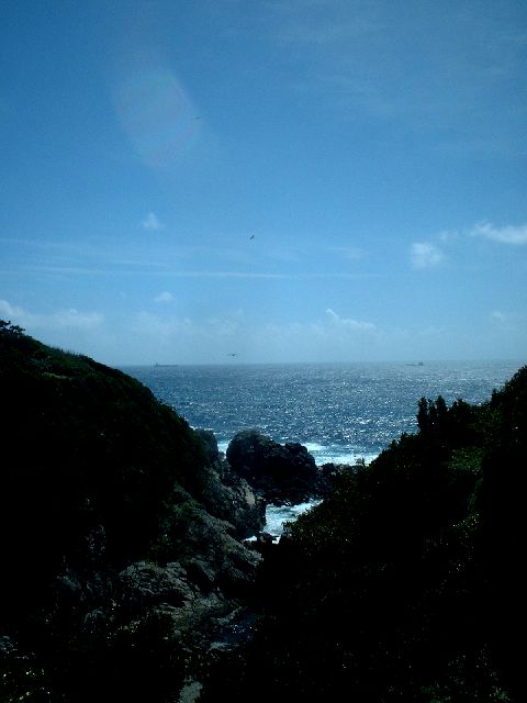 b0032167_0154420.jpg