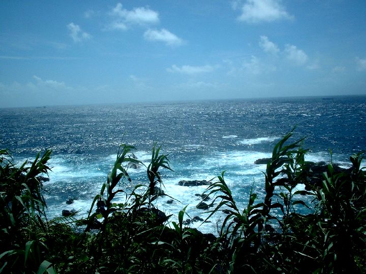 b0032167_0155659.jpg