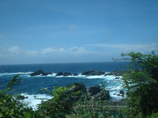 b0032167_0184385.jpg