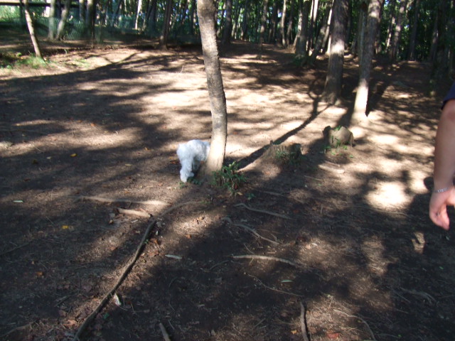 b0103668_21573269.jpg