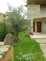 c0102268_2132926.jpg