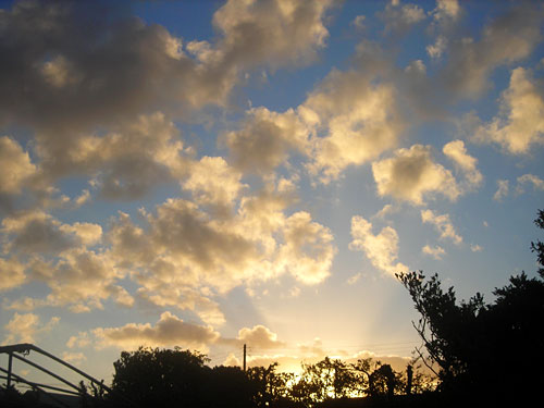 e0097770_003056.jpg