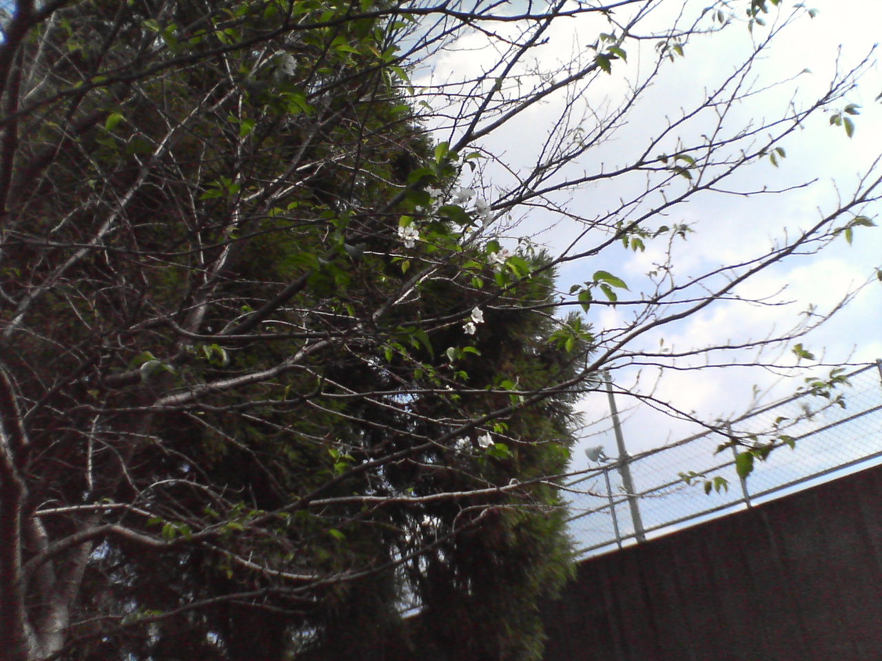 f0066278_14252627.jpg