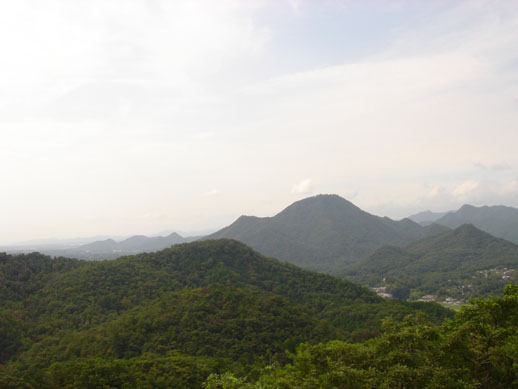a0004180_23122446.jpg