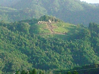 f0060381_20145784.jpg