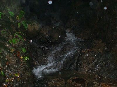 c0092983_16251572.jpg