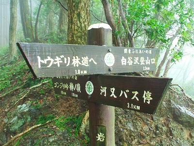 c0092983_1701638.jpg